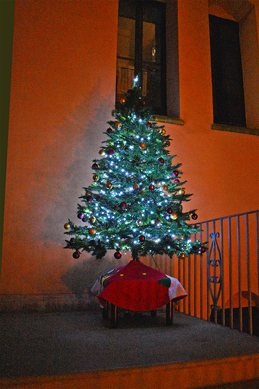 Arbre de Nadal a l'interior de la Casa de la Vila.
