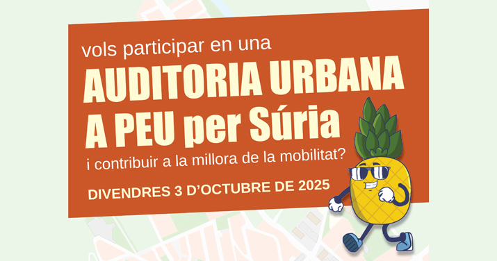 AUDITORIA URBANA PER A LA MILLORA DELS CAMINS ESCOLARS