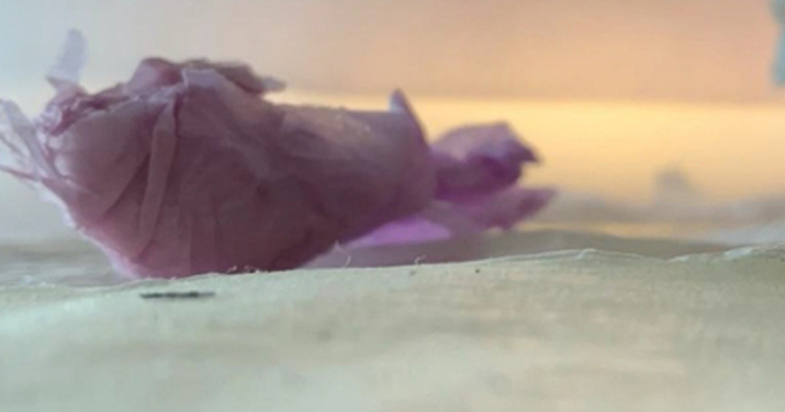 TALLER PER A INFANTS: 'LA CAPSA DE LES SORPRESES'