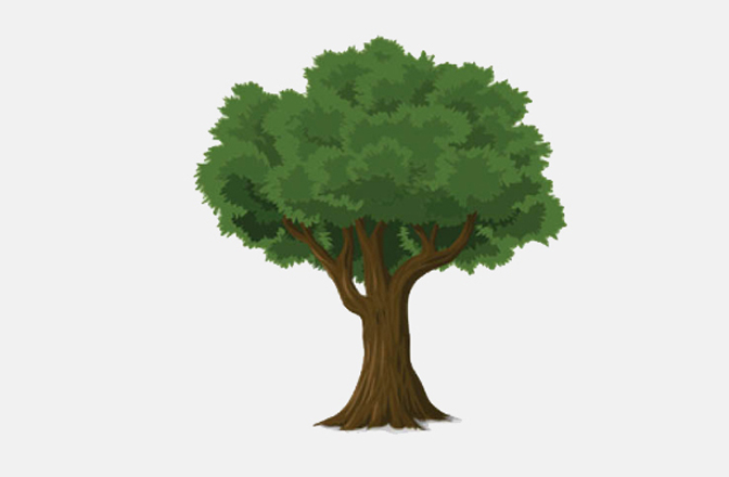 Logotip del Programa d'Educació Ambiental.