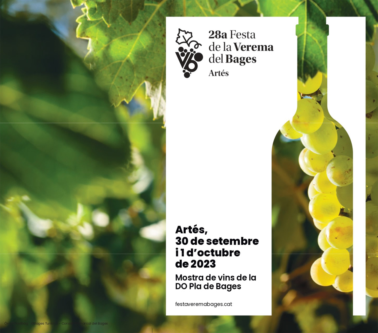 28a Festa de la Verema del Bages: Itinerari 'Barraca i tina de la vinya del Joan Munt' per Navàs i Súria