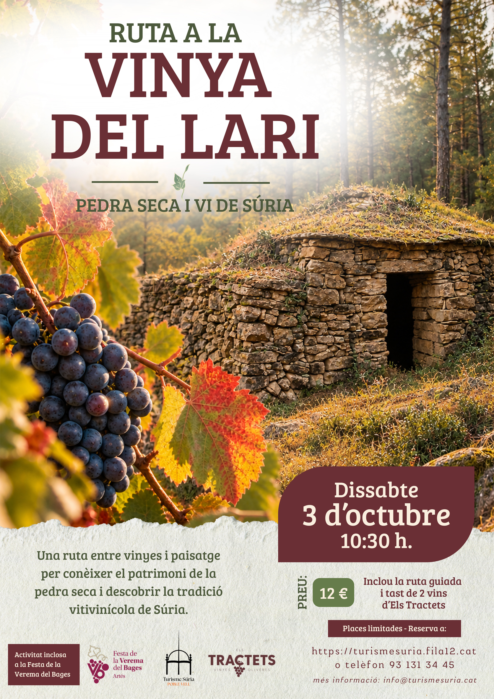 Cartell de la Ruta a la Vinya del Lari - Dissabte 3 d'octubre.
