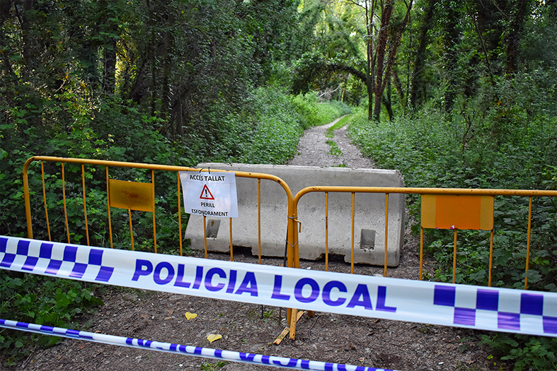 Tall d'un dels camins afectats per l'aparició de la bòfia al bosc de ribera.