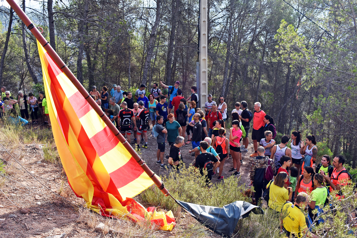La Senyera de la Torre, abans de ser hissada durant lâ€™acte central de la Diada a SÃºria.