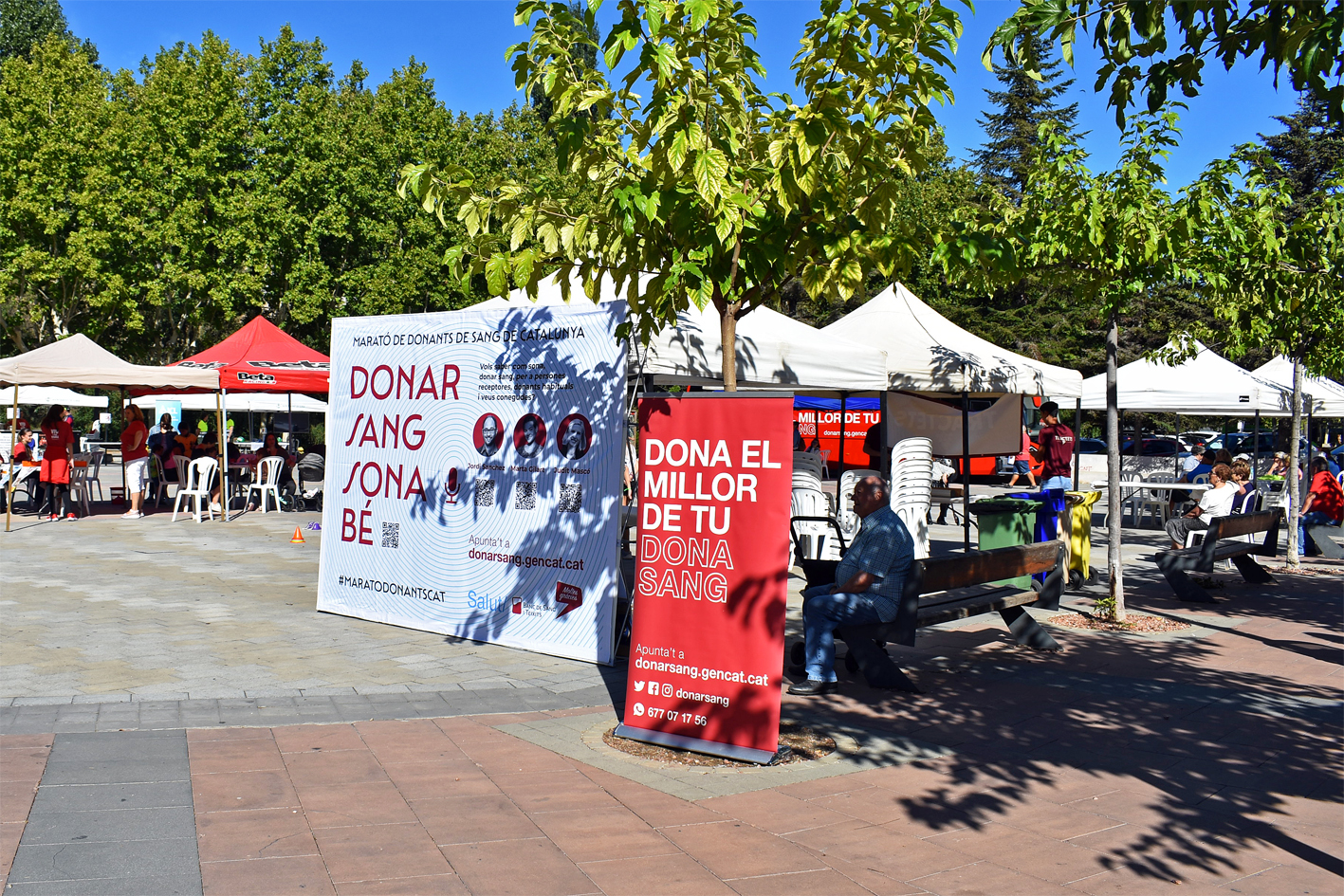 Plafons de la Marató de Donació de Sang de Súria, a la plaça de Sant Joan.