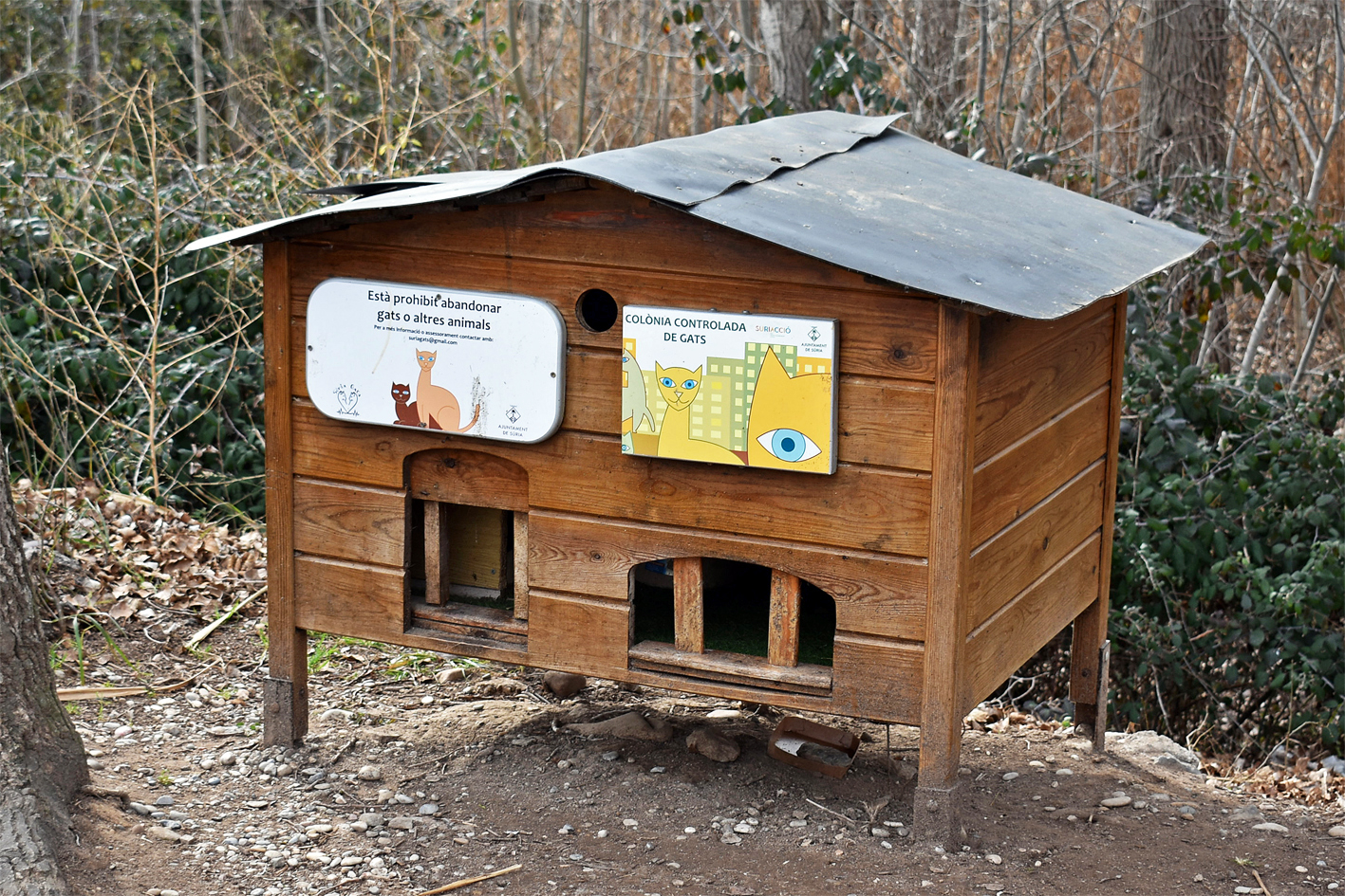 Caseta d'una colònia de gats urbans, a l'entorn del centre de la vila.
