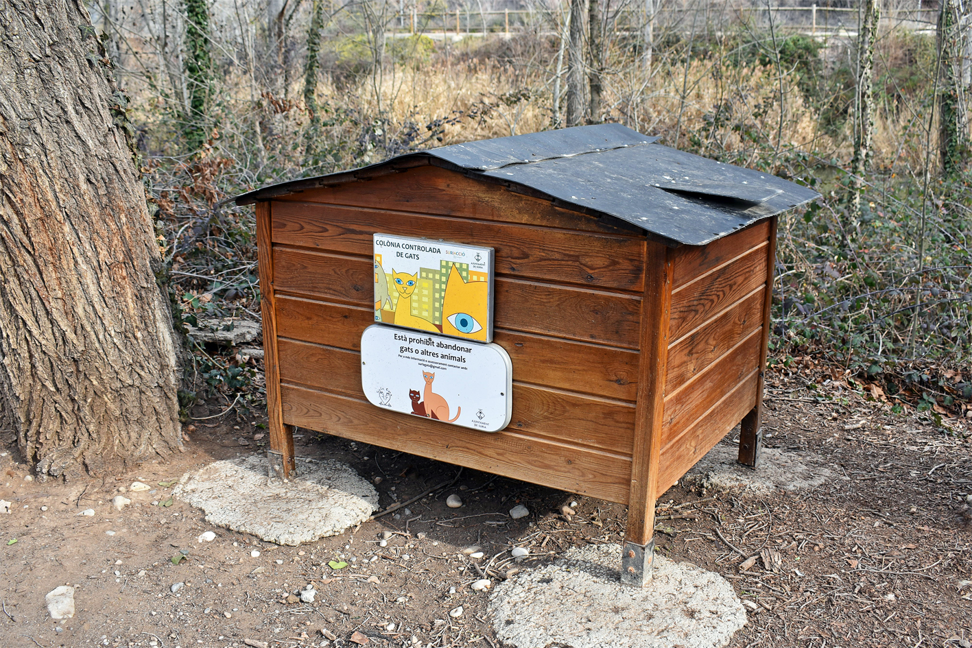 Caseta d'una colònia de gats urbans, a l'entorn del centre de la vila.