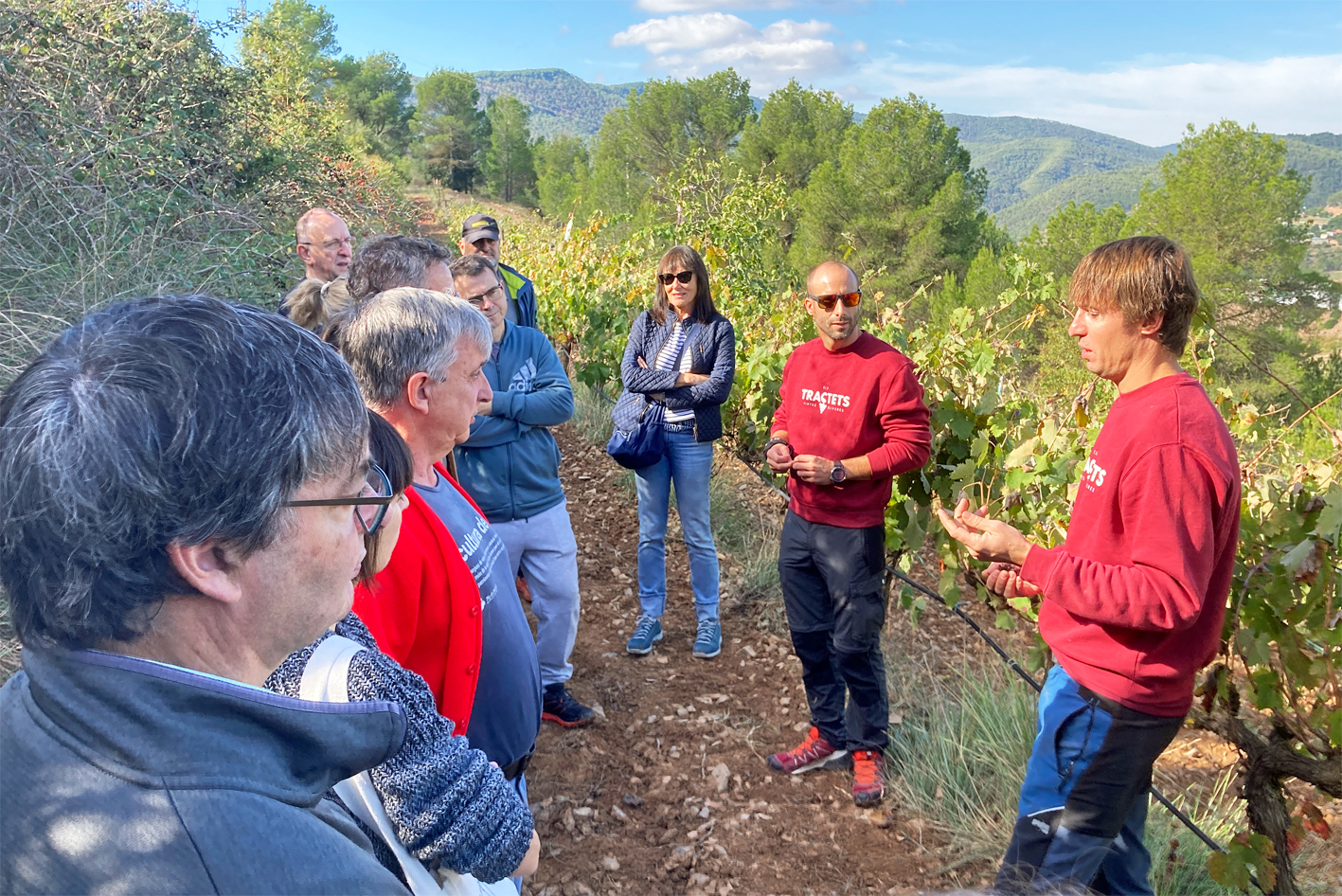 Visita a les vinyes d'Els Tractets, amb el guiatge dels impulsors del projecte, dins de les activitats de la Festa de la Verema del Bages.