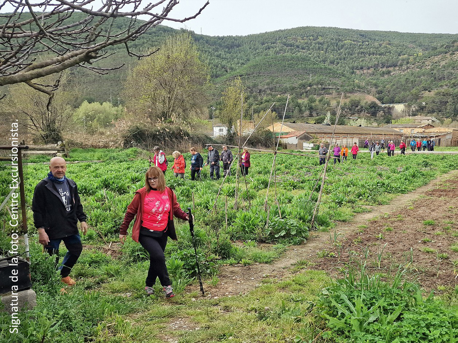 Divendres 4 d'abril de 2025 - Caminada per SÃºria, a cÃ rrec del Centre Excursionista, dins de la 4a Escola de Salut de SÃºria.