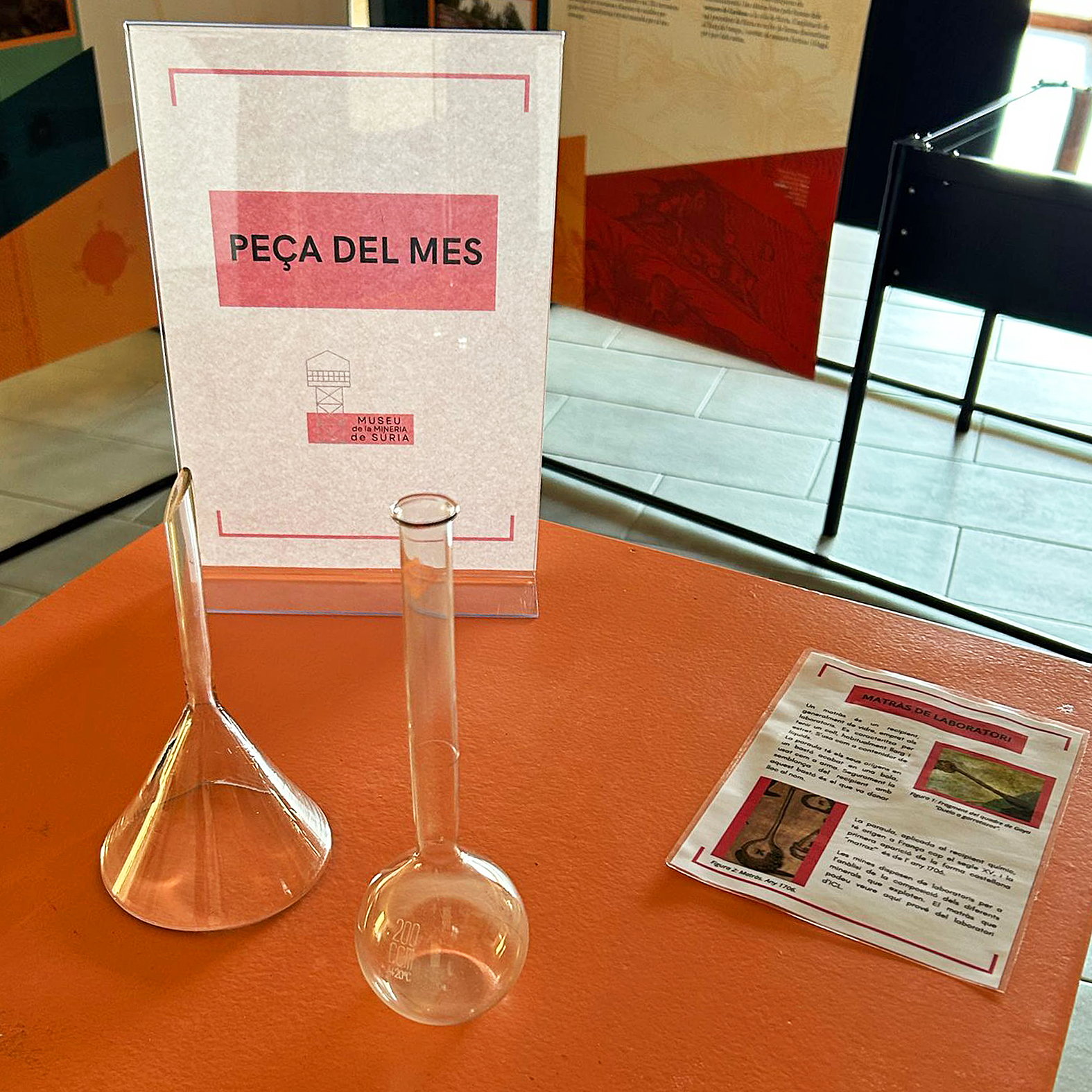 Maig de 2025 - MatrÃ s de laboratori.