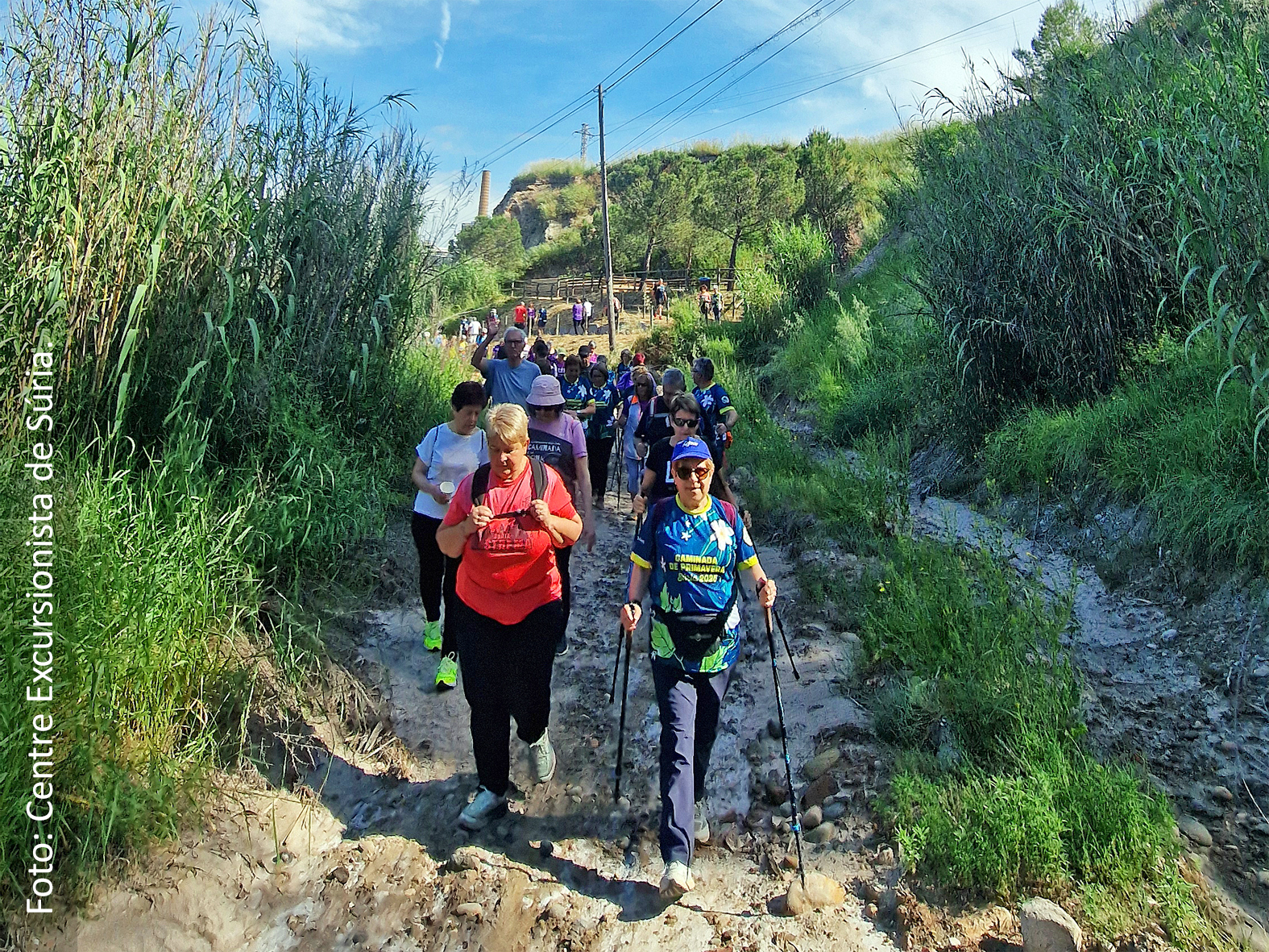 Curs 2024-25 - Imatge de la Caminada de la Gent Gran del mes de maig, organitzada per l'Ajuntament de SÃºria, Centre Excursionista i Consell Municipal de la Gent Gran.