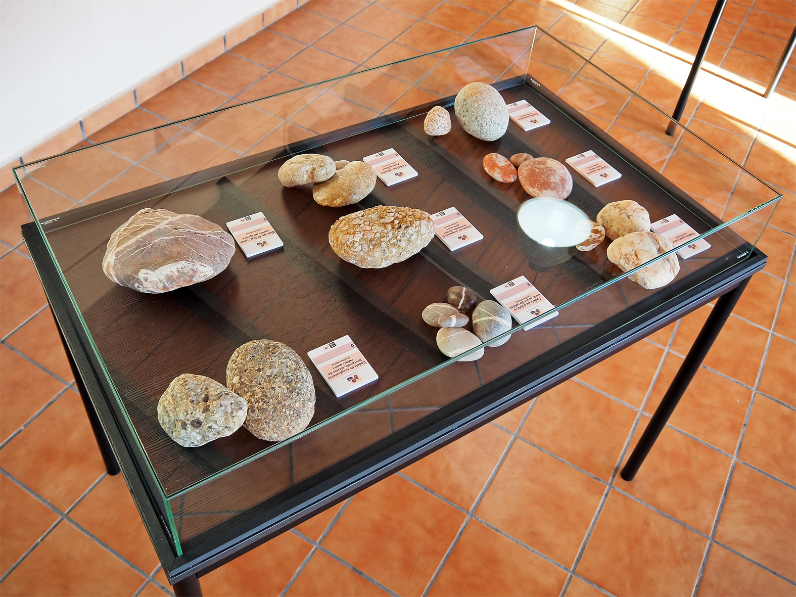 Vitrina de l'exposició permanent 'Minerals i roques: un patrimoni a descobrir' al Museu de la Mineria de Súria.