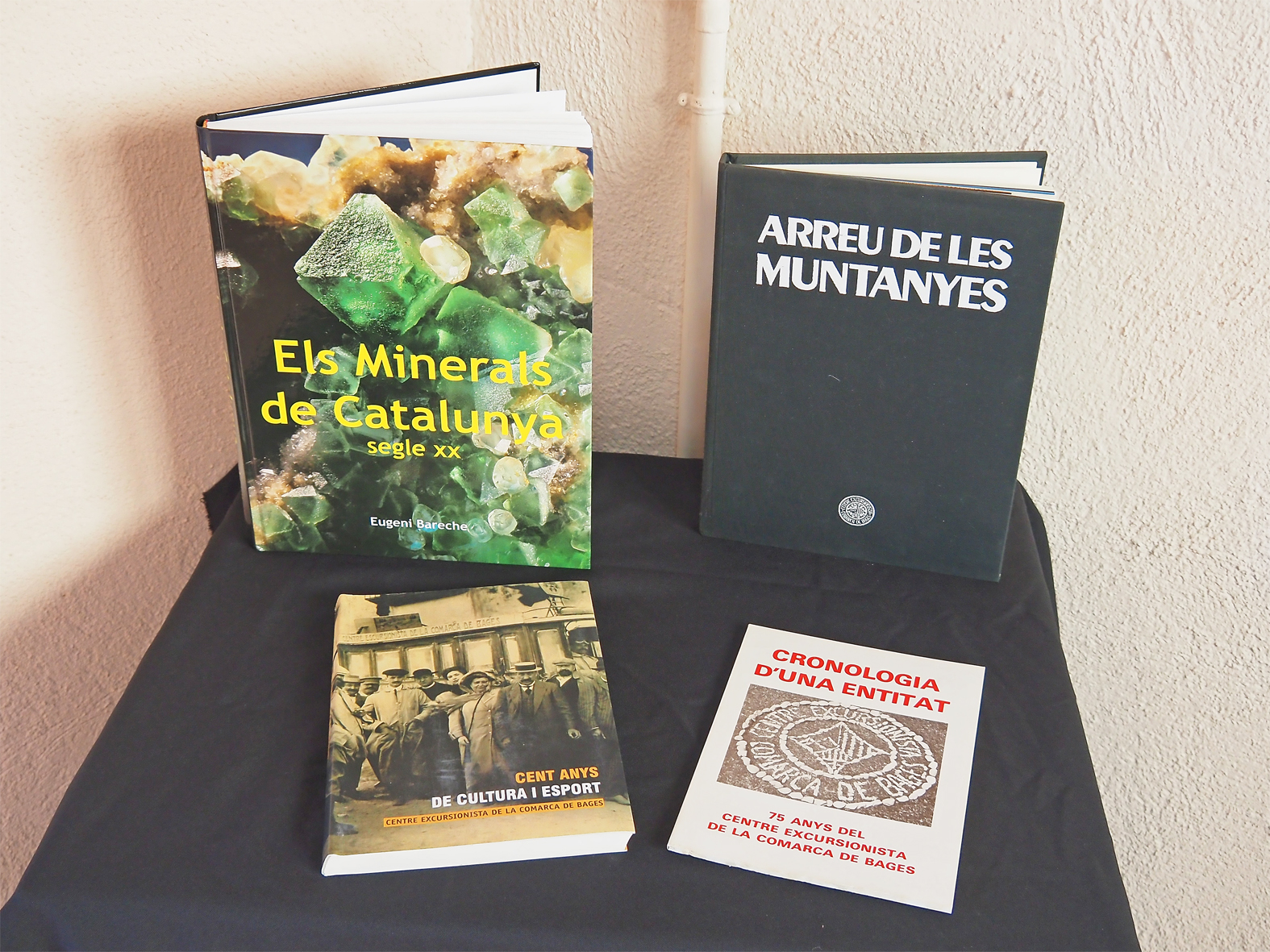 Material bibliogràfic de l'exposició permanent 'Minerals i roques: un patrimoni a descobrir' al Museu de la Mineria de Súria.