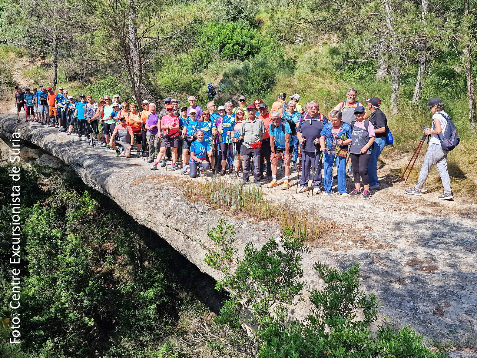 Divendres 6 de juny de 2025 - Participants en la caminada fora vila al Pont de les Arnaules, a cÃ rrec del Centre Excursionista, dins de la 4a Escola de Salut de SÃºria.