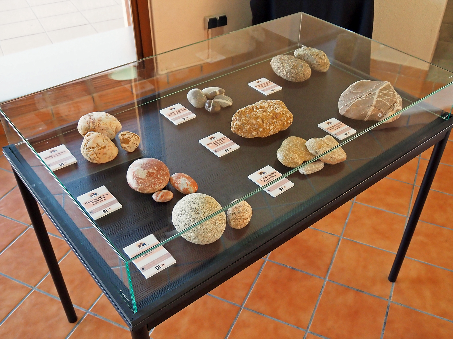 Vitrina de l'exposiciÃ³ permanent 'Minerals i roques: un patrimoni a descobrir' al Museu de la Mineria de SÃºria.
