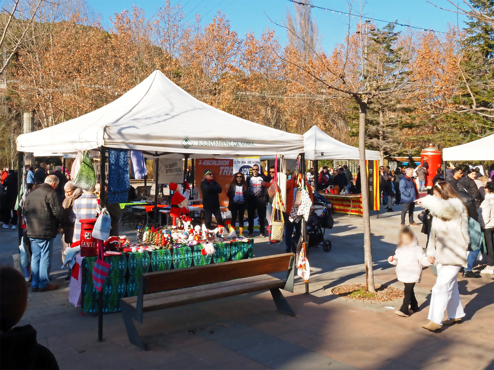Ambient de la Fira de Nadal i Entitats de S&uacute;ria a la pla&ccedil;a de Sant Joan.