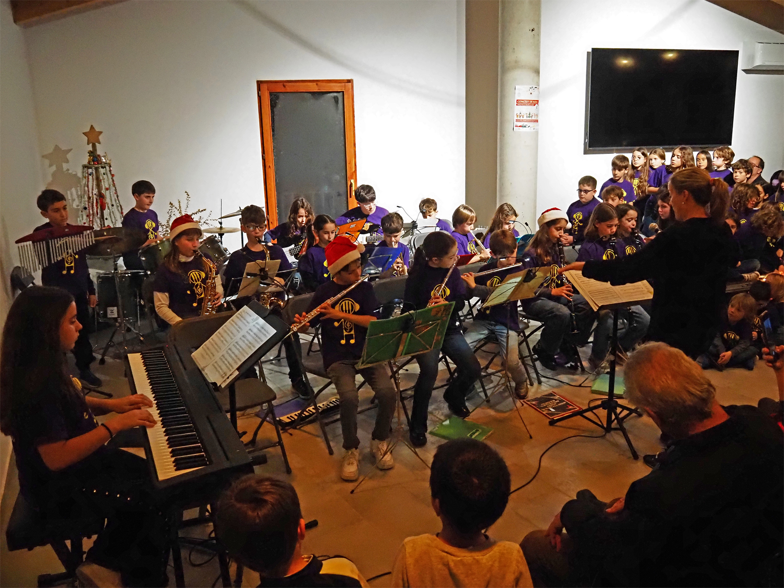 Concert de Nadal de lâ€™Escola Municipal de MÃºsica, celebrat a la Sala del Portal dâ€™El Casinet del Poble Vell.