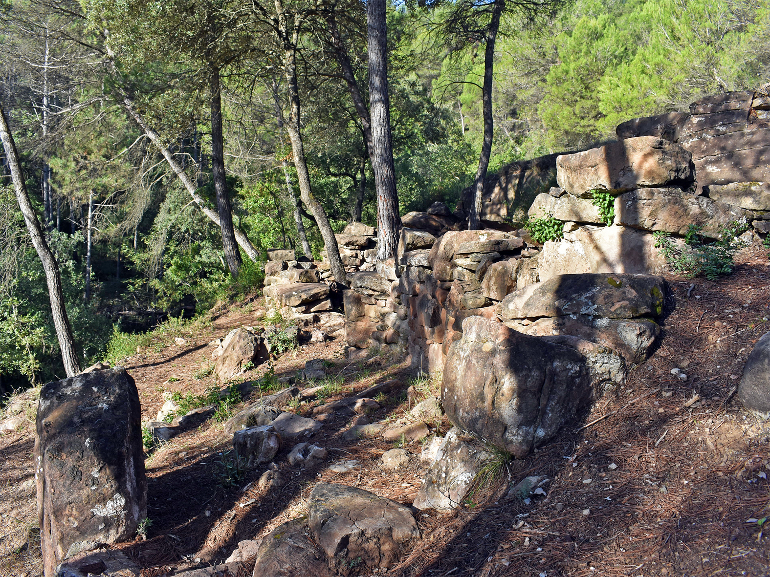 Imatge de les restes del Mas La Miranda durant la visita de les Jornades Europees de Patrimoni a S&uacute;ria.
