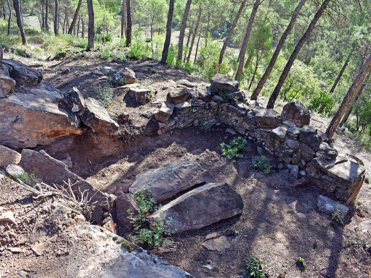 Imatge de les restes del Mas La Miranda durant la visita de les Jornades Europees de Patrimoni a S&uacute;ria.