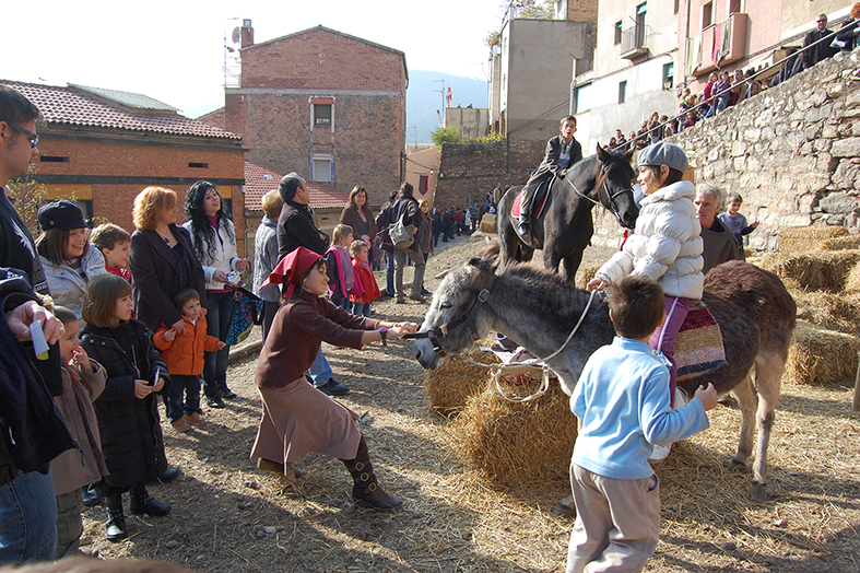 Passejades de la 7a Fira Medieval d'Oficis - Novembre de 2008.