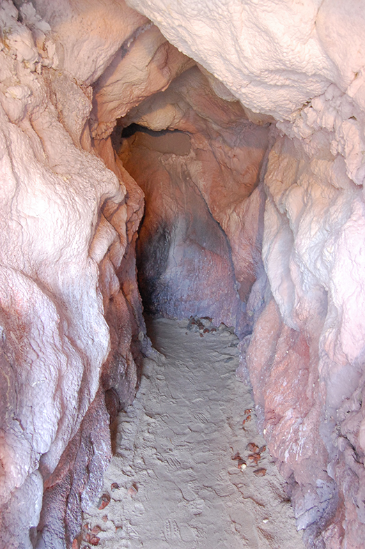Entrada a la mina de sal de la 9a Fira Medieval d'Oficis - Novembre de 2010.