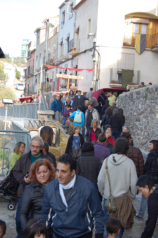 Ambient de la 9a Fira Medieval d'Oficis - Novembre de 2010.