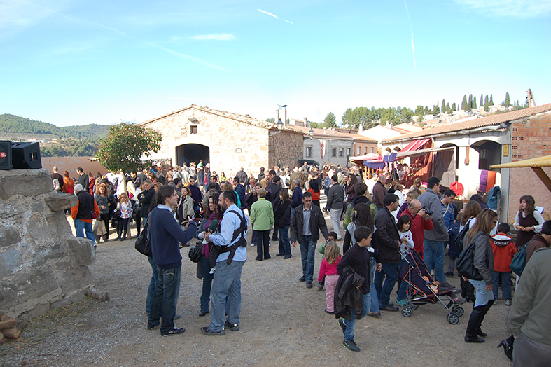 Ambient de la 9a Fira Medieval d'Oficis - Novembre de 2010.
