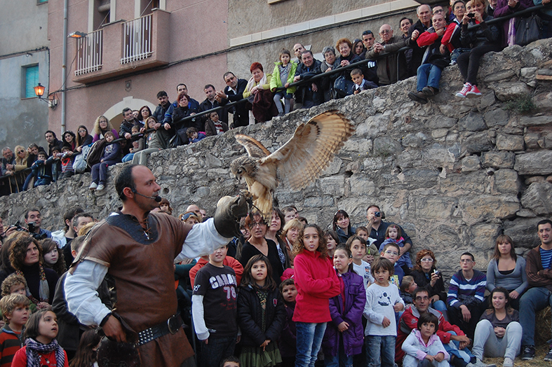 ExhibiciÃ³ d'aus rapinyaires durant la 9a Fira Medieval d'Oficis - Novembre de 2010.