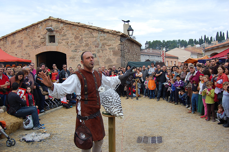 ExhibiciÃ³ d'aus rapinyaires de la 10a Fira Medieval d'Oficis - Novembre de 2011.