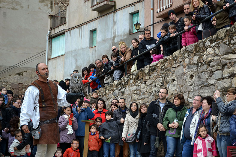 ExhibiciÃ³ dâ€™aus rapinyaires a lâ€™Era del Quinquer del Poble Vell, durant la 12a Fira Medieval dâ€™Oficis de SÃºria - Novembre de 2013.
