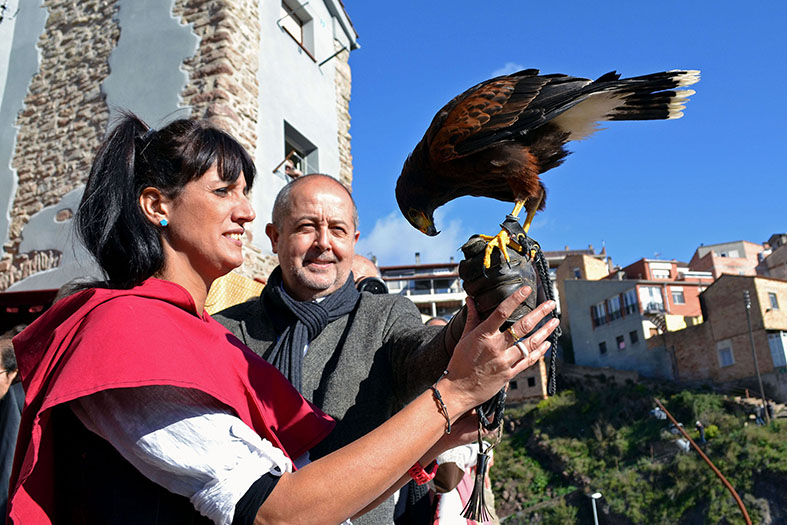 El conseller dâ€™Empresa i OcupaciÃ³ de la Generalitat, Felip Puig, durant lâ€™exhibiciÃ³ dâ€™aus rapinyaires a la 13a Fira Medieval dâ€™Oficis al Poble Vell de SÃºria - Novembre de 2014.