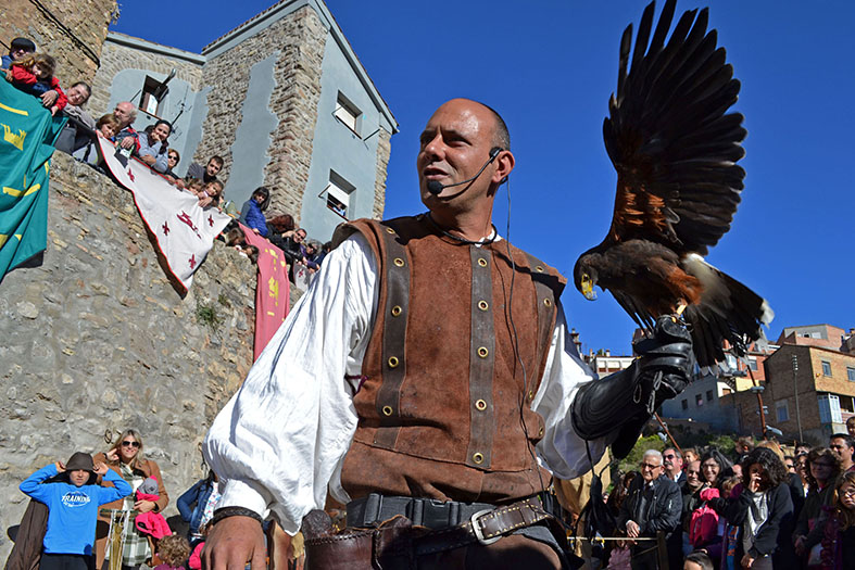 ExhibiciÃ³ dâ€™aus rapinyaires a lâ€™Era del Quinquer, durant la 13a Fira Medieval dâ€™Oficis de SÃºria - Novembre de 2014.