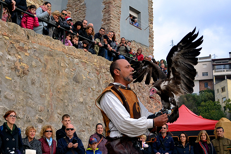ExhibiciÃ³ d'aus rapinyaires a l'Era del Quinquer, dins de la 15a Fira Medieval d'Oficis de SÃºria - Novembre de 2016.