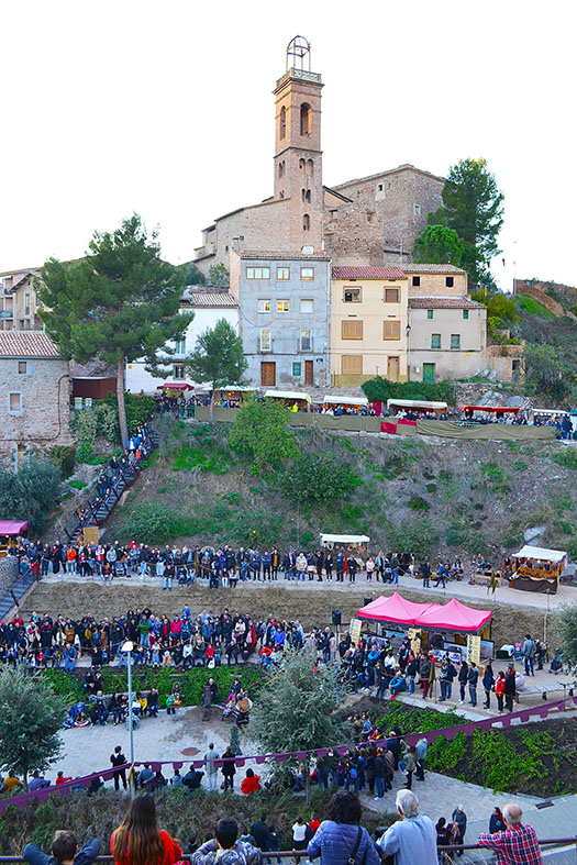 Vista de l'Espai Firal dels GalÃ pets, el Castell i el campanar de l'EsglÃ©sia del Roser durant l'exhibiciÃ³ d'aus rapinyaires, dins de la 16a Fira Medieval d'Oficis al Poble Vell de SÃºria - Novembre de 2017.