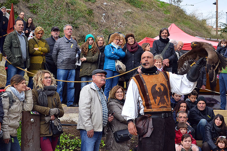 ExhibiciÃ³ d'aus rapinyaires, dins de la 16a Fira Medieval d'Oficis al Poble Vell de SÃºria - Novembre de 2017.