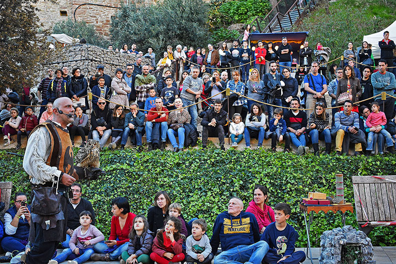 ExhibiciÃ³ dâ€™aus rapinyaires a lâ€™Espai Firal dels GalÃ pets durant la 17a Fira Medieval dâ€™Oficis de SÃºria - Novembre de 2018.