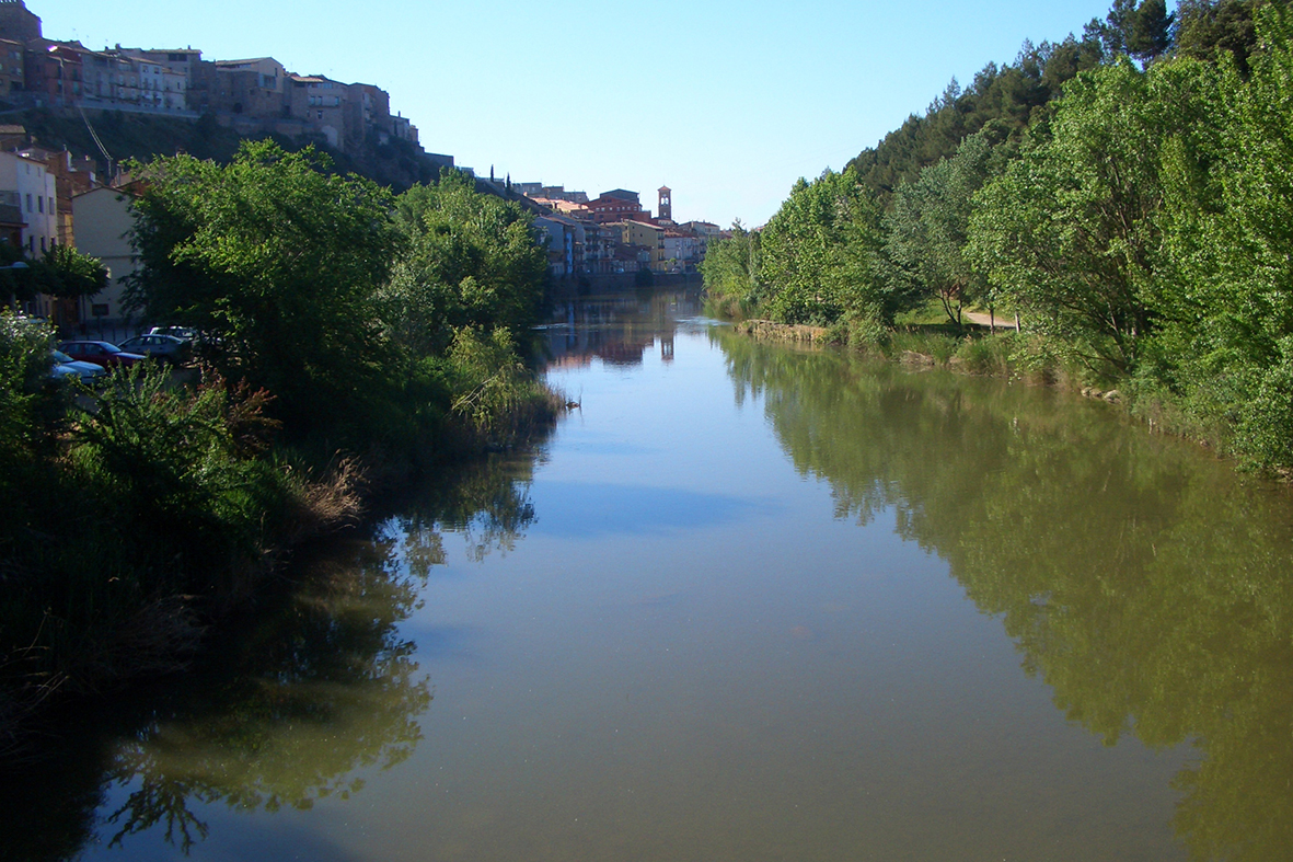 Imatge del riu Cardener des de l'actual palanca de la FÃ brica Vella.