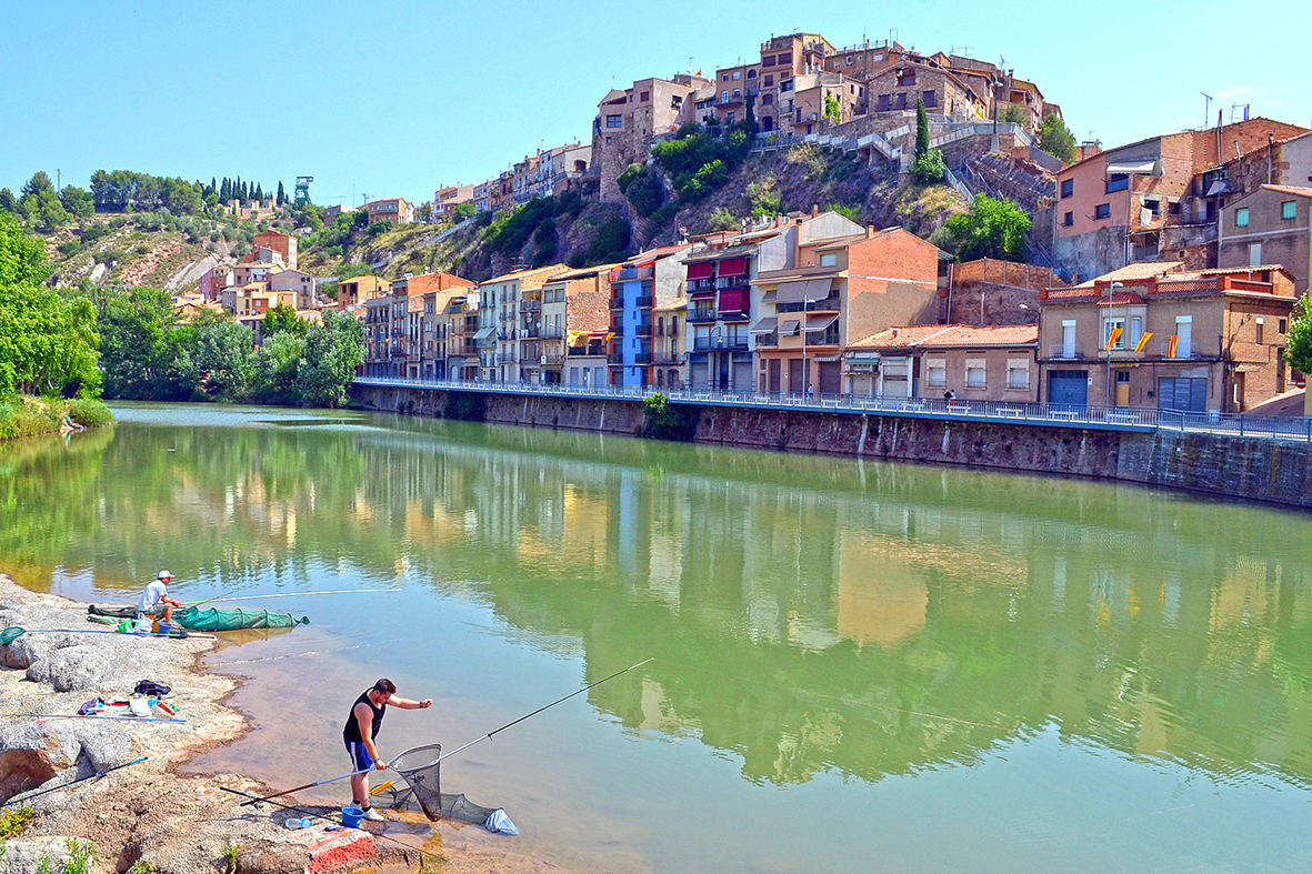 Imatge del concurs de pesca de la Festa Major de l'any 2015.