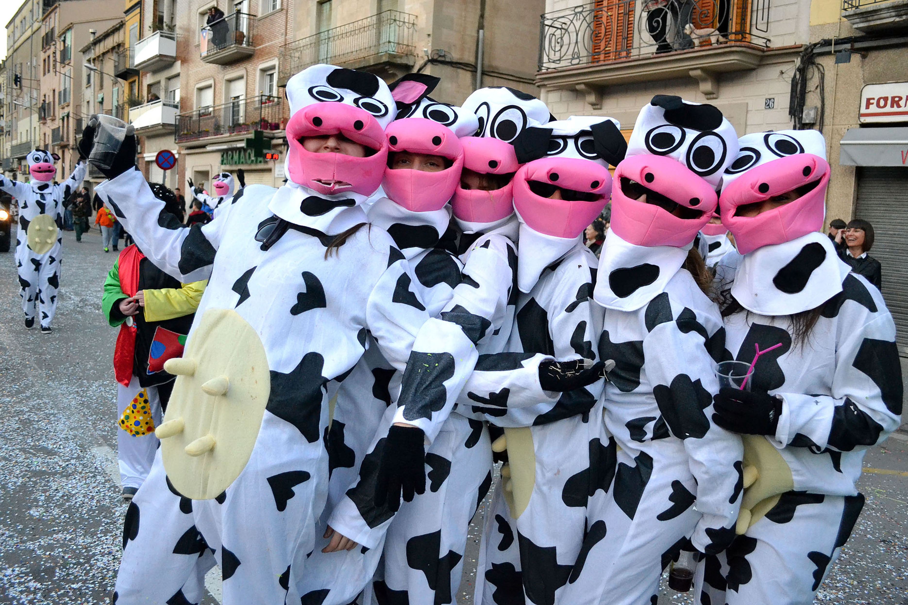 Participants en la rua del Carnestoltes de SÃºria 2017.