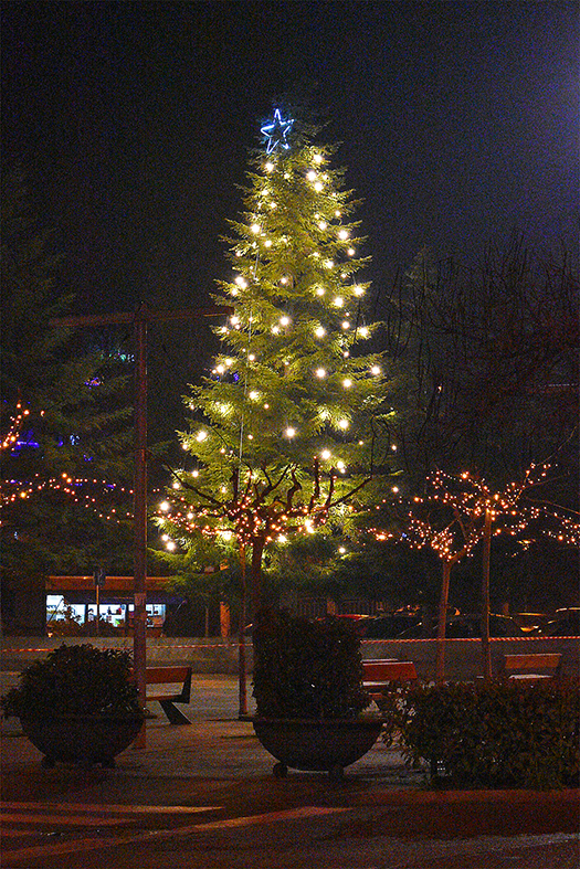 Arbre de Nadal i il·luminació nadalenca a la plaça de Sant Joan.