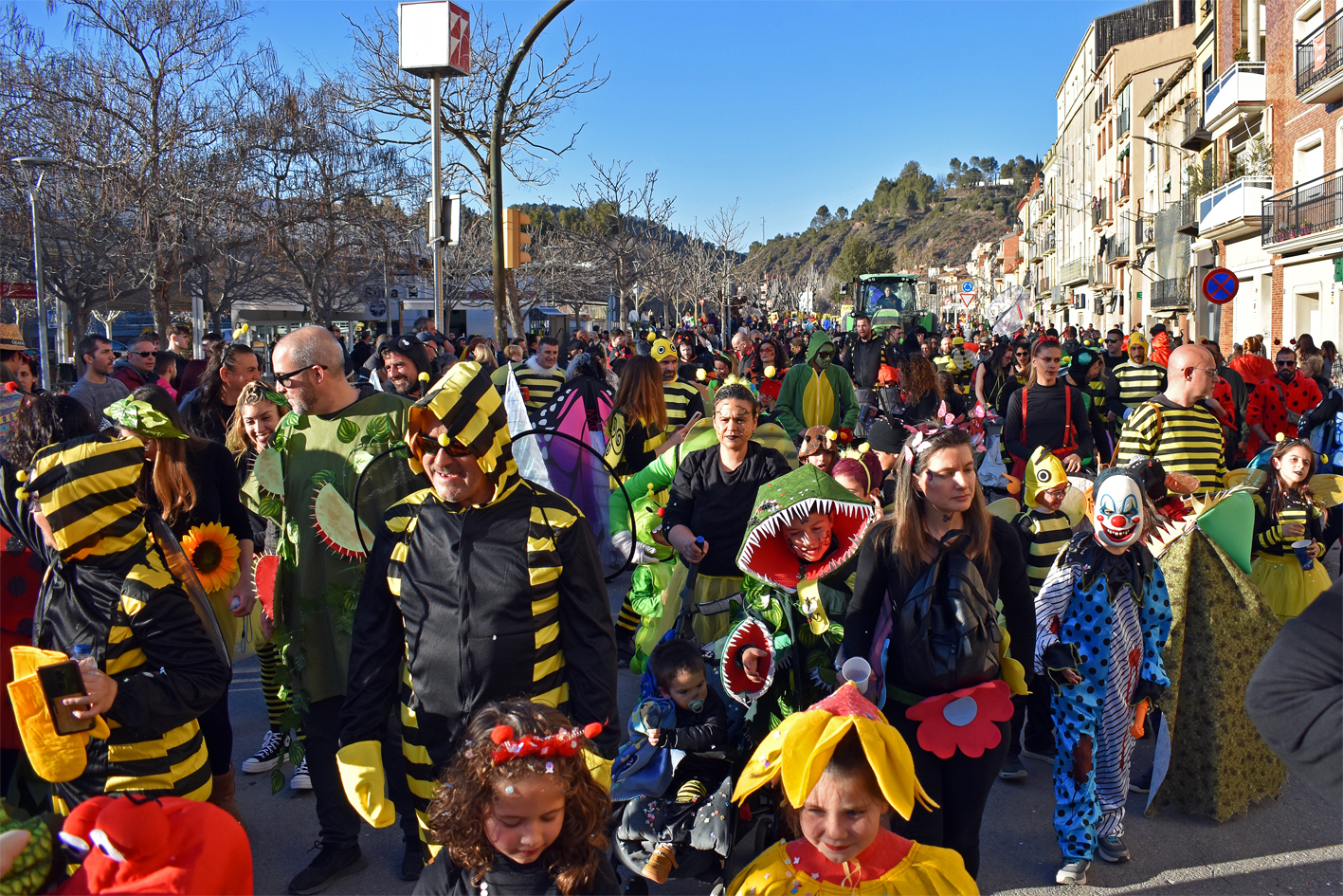 Participants en la rua del Carnestoltes de SÃºria.