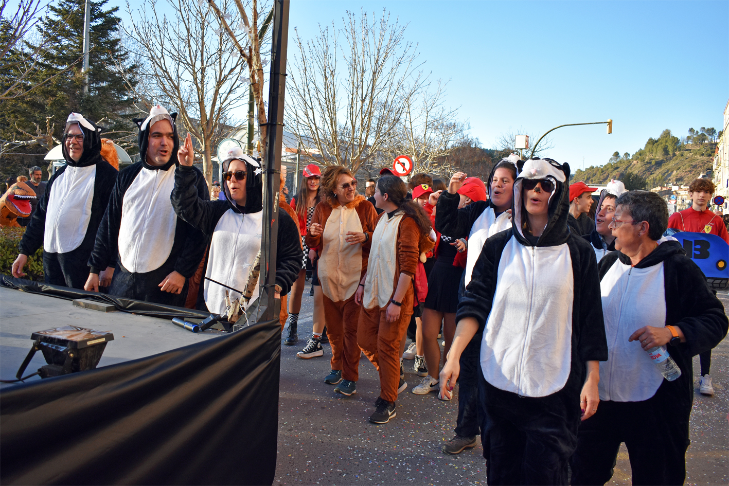 Participants en la rua del Carnestoltes de SÃºria.